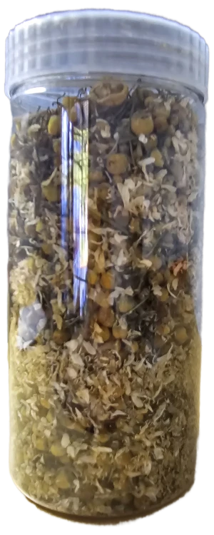 20240828_084203.png