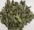 obraz_2026-06-30_101205087.png