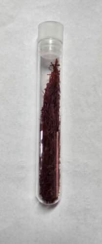 20261028_140150.jpg