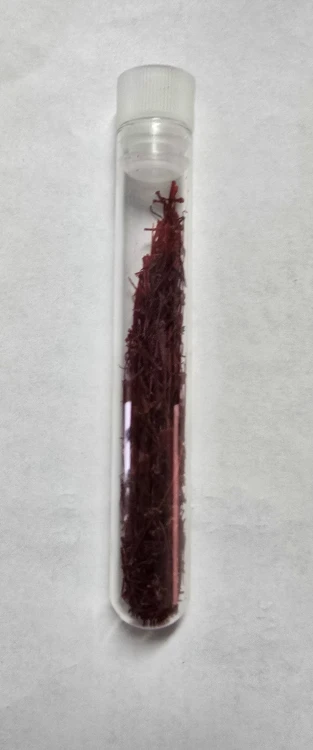 20261028_140150.jpg